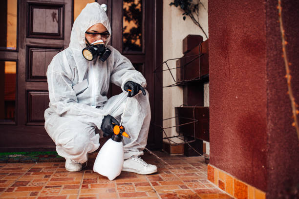 Reliable Ant Control contractor in Branchville, SC by Nex Pest Control