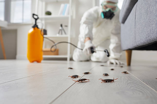 Trusted Cockroach Control service in Branchville, SC - Nex Pest Control
