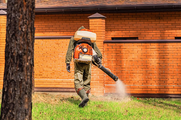 Trusted Rodent Control service in Branchville, SC - Nex Pest Control